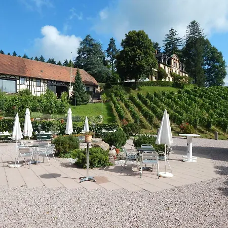 Wein - Schlossblick