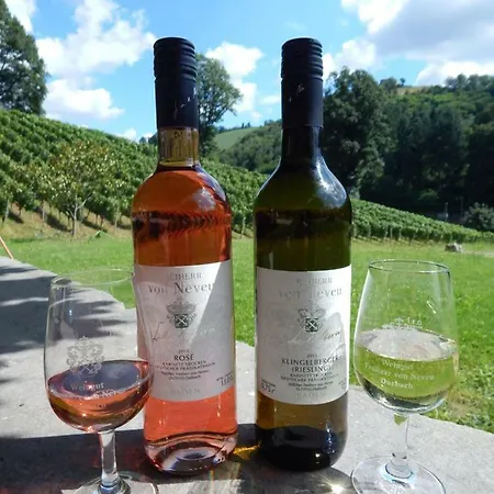 Wein - Schlossblick Durbach