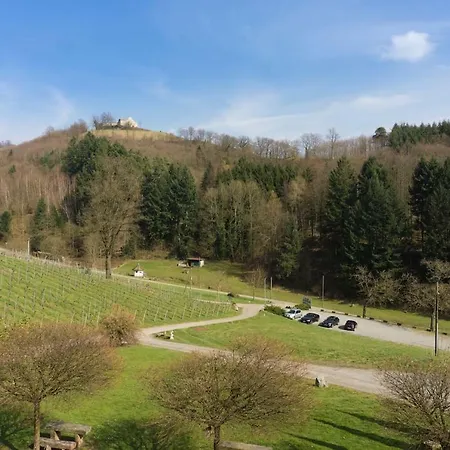 Wein - Schlossblick Daire Durbach