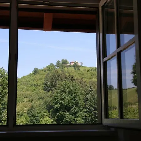 Wein - Schlossblick * Durbach