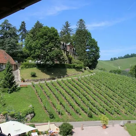 Daire Wein - Schlossblick Durbach