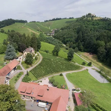 Wein - Schlossblick *