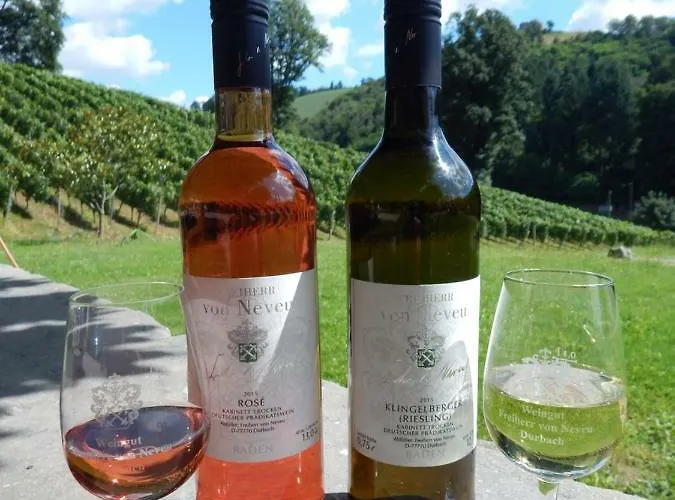 Wein - Schlossblick Durbach