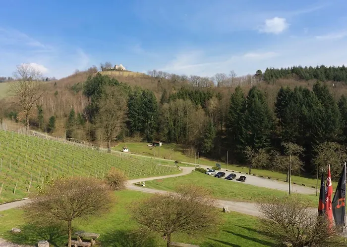Wein - Schlossblick Apartment Durbach