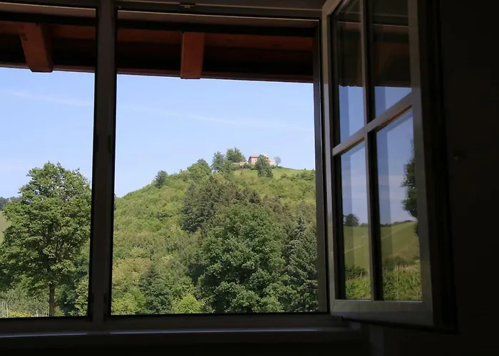 Wein - Schlossblick * Durbach