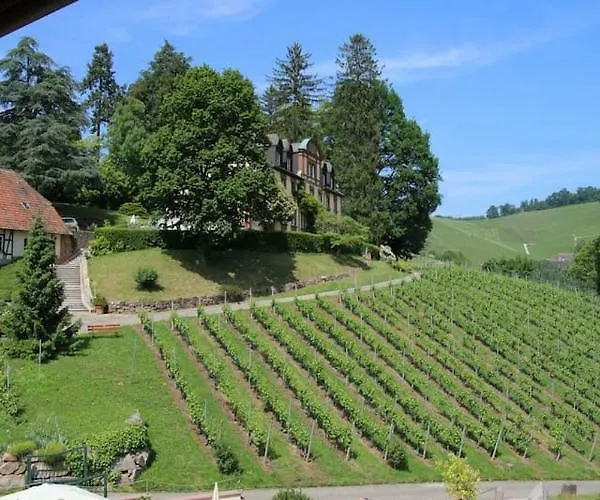 Apartment Wein - Schlossblick Durbach