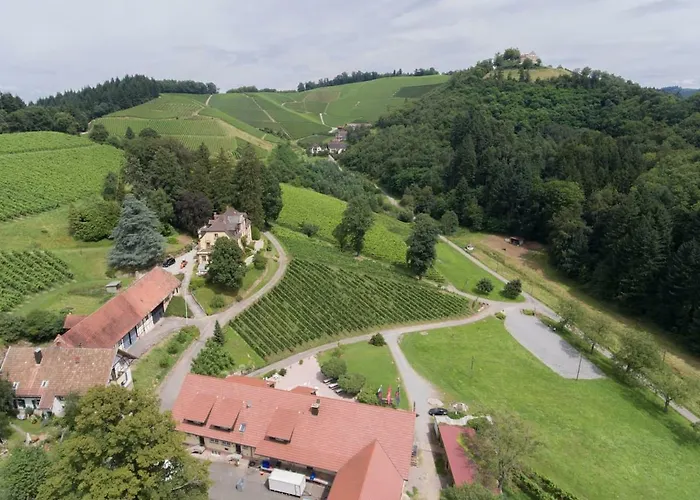 Wein - Schlossblick *